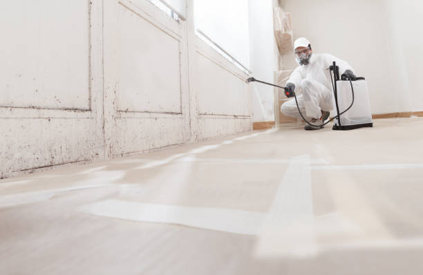 24/7 Emergency Attic Mold Remediation experts in Jamestown, NY